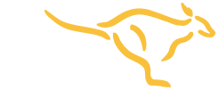 letz fetz Kurierdienst logo
